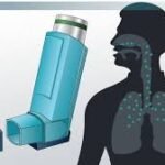 how salbutamol works