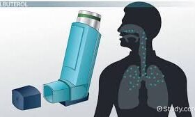 how salbutamol works