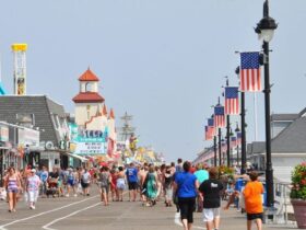 ocean city nj news
